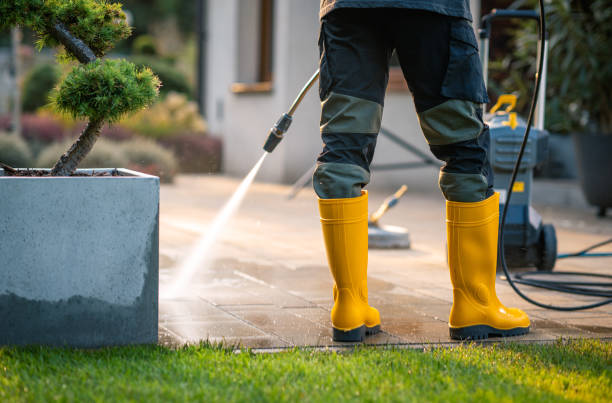 Best Pressure Washing Estimates  in Saltillo, MS